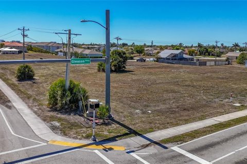 Land in Cape Coral, Florida № 2099180 - photo 3