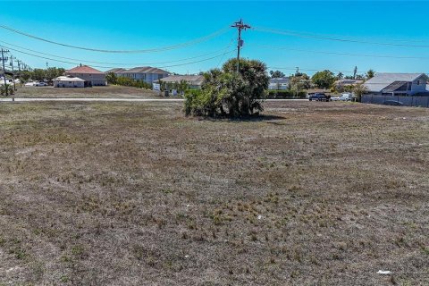 Land in Cape Coral, Florida № 2099180