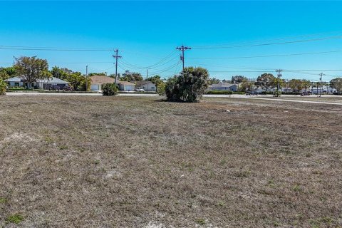 Land in Cape Coral, Florida № 2099180 - photo 15