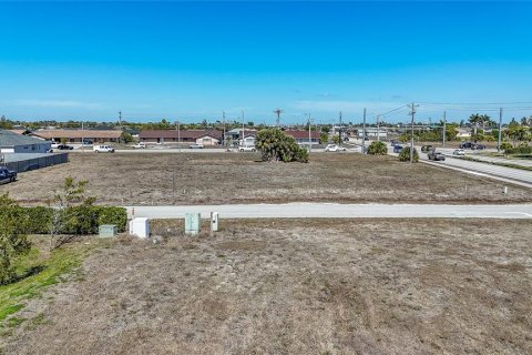 Land in Cape Coral, Florida № 2099180 - photo 13