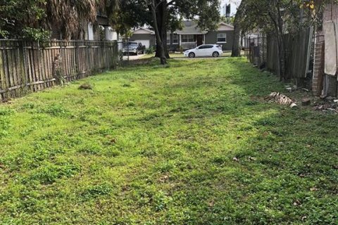 Land in Tampa, Florida № 2213821