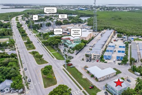 Propiedad comercial en Tavernier, Florida № 2037119