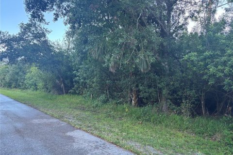 Terreno en Port Charlotte, Florida № 2195191