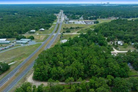 Land in Yankeetown, Florida № 1895187 - photo 9