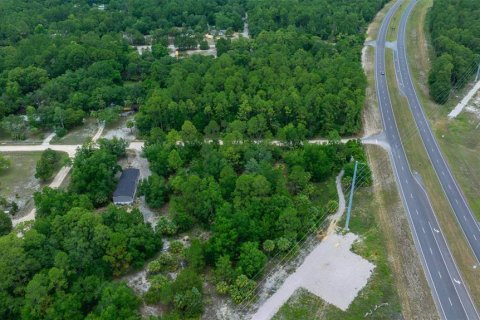 Land in Yankeetown, Florida № 1895187 - photo 7