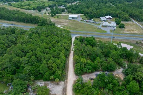Land in Yankeetown, Florida № 1895187 - photo 5