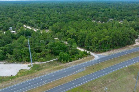 Land in Yankeetown, Florida № 1895187 - photo 11