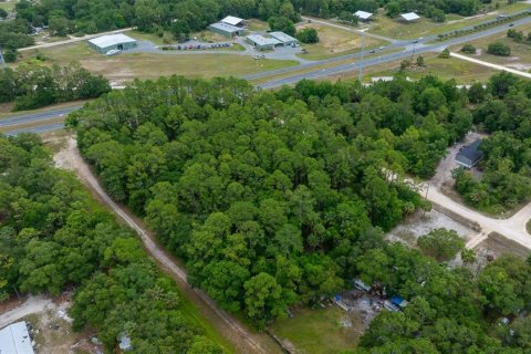 Land in Yankeetown, Florida № 1895187 - photo 4