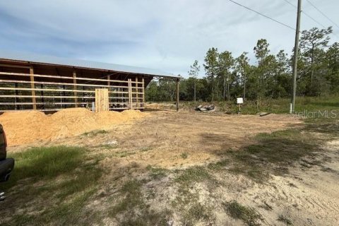 Land in Weeki Wachee, Florida № 2148073 - photo 8
