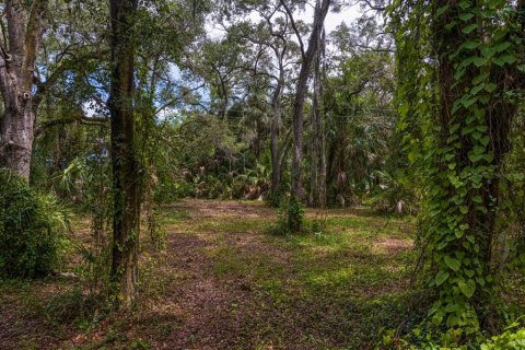 Land in Tampa, Florida № 1319440 - photo 18