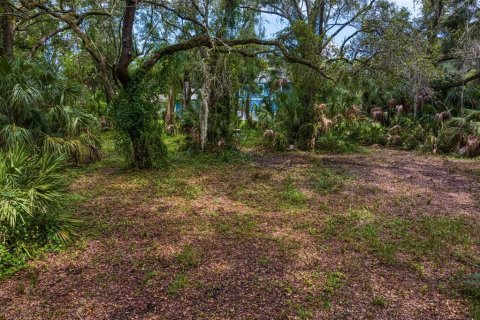 Land in Tampa, Florida № 1319440 - photo 17