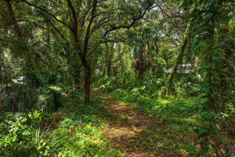 Land in Tampa, Florida № 1319440 - photo 5