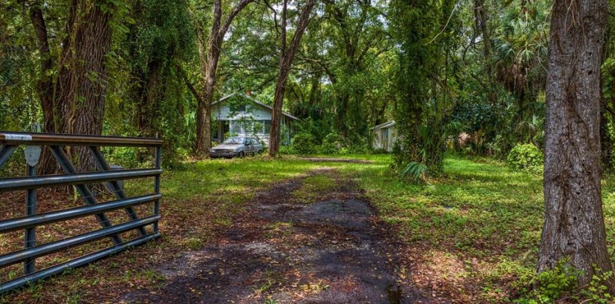 Land in Tampa, Florida № 1319440
