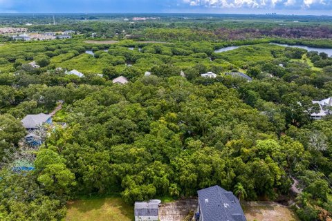 Land in Tampa, Florida № 1319440 - photo 28
