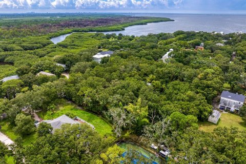 Land in Tampa, Florida № 1319440 - photo 27