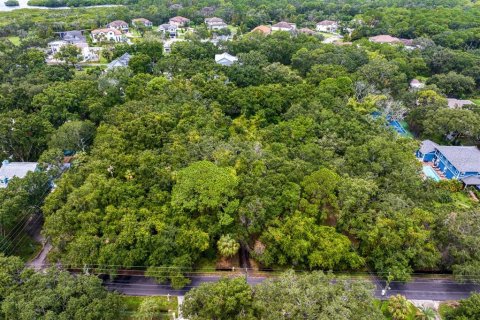 Land in Tampa, Florida № 1319440 - photo 7