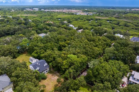 Land in Tampa, Florida № 1319440 - photo 29