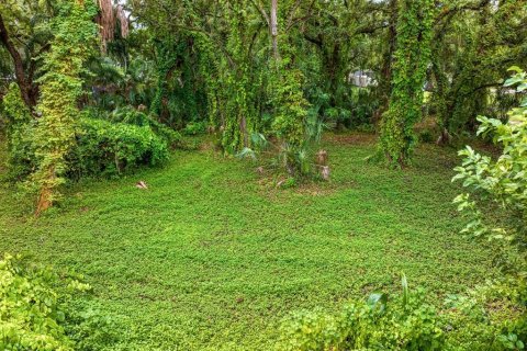 Land in Tampa, Florida № 1319440 - photo 14