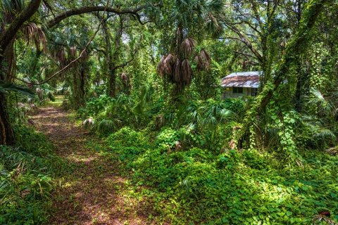 Land in Tampa, Florida № 1319440 - photo 6
