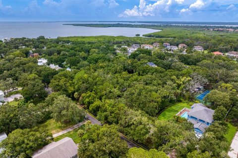 Land in Tampa, Florida № 1319440 - photo 24