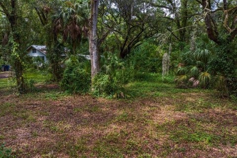 Land in Tampa, Florida № 1319440 - photo 2