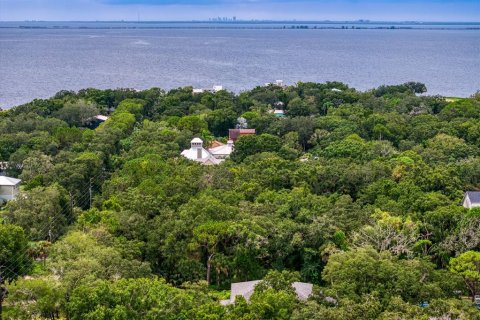 Land in Tampa, Florida № 1319440 - photo 26