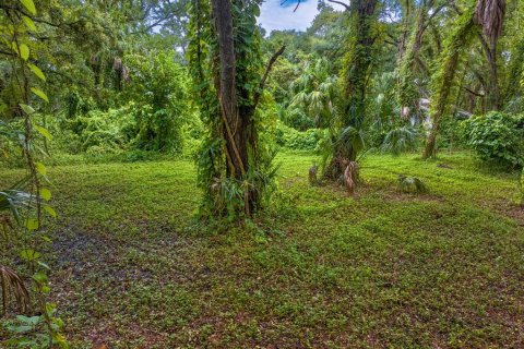 Land in Tampa, Florida № 1319440 - photo 12