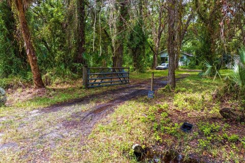 Land in Tampa, Florida № 1319440 - photo 4