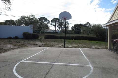 Condominio en alquiler en Palm Harbor, Florida, 1 dormitorio, 76.83 m2 № 1718909 - foto 24