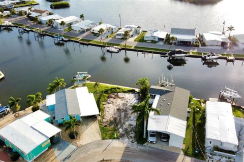 Land in Palmetto, Florida № 1855560 - photo 1
