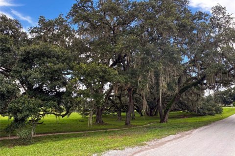 Land in Dunnellon, Florida № 2161093 - photo 22