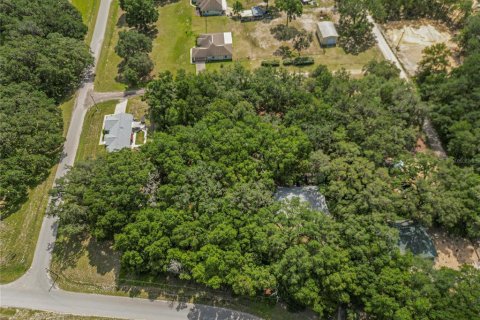 Land in Dunnellon, Florida № 2161093 - photo 4