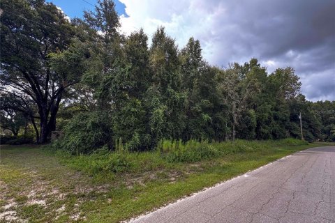 Land in Dunnellon, Florida № 2161093 - photo 20