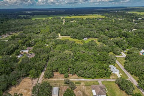 Land in Dunnellon, Florida № 2161093 - photo 10