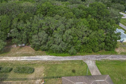 Land in Dunnellon, Florida № 2161093 - photo 11