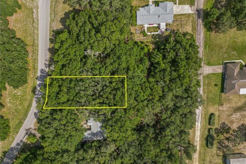 Land in Dunnellon, Florida № 2161093 - photo 2