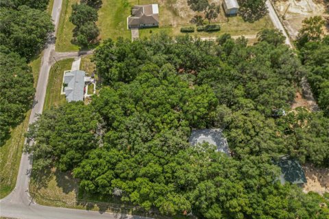 Land in Dunnellon, Florida № 2161093 - photo 3
