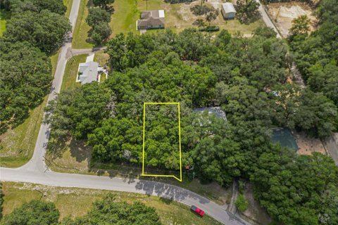 Land in Dunnellon, Florida № 2161093