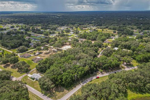 Land in Dunnellon, Florida № 2161093 - photo 7