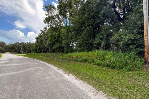 Land in Dunnellon, Florida № 2161093 - photo 19