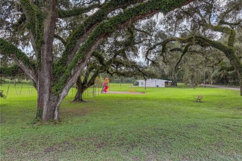 Land in Dunnellon, Florida № 2161093 - photo 14