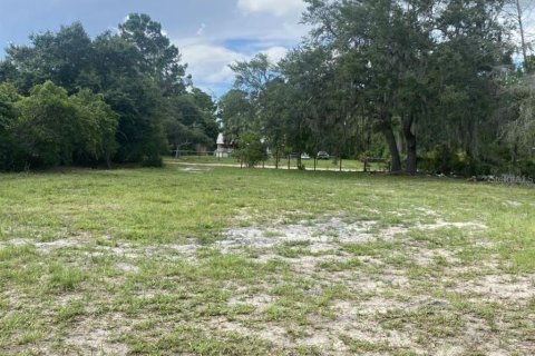 Land in DeLand, Florida № 1827207 - photo 7