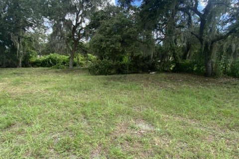 Land in DeLand, Florida № 1827207 - photo 4