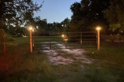 Land in DeLand, Florida № 1827207 - photo 15