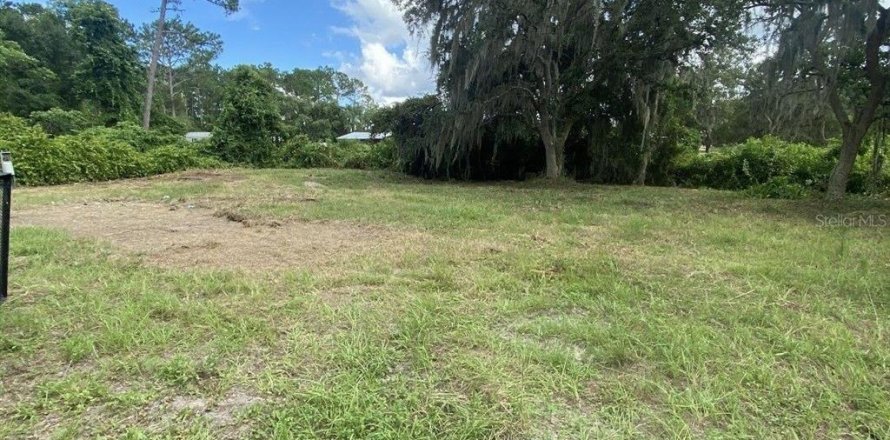 Land in DeLand, Florida № 1827207