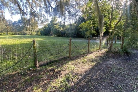 Land in DeLand, Florida № 1827207 - photo 13