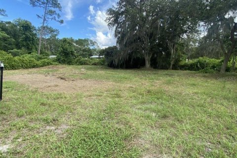 Land in DeLand, Florida № 1827207 - photo 5