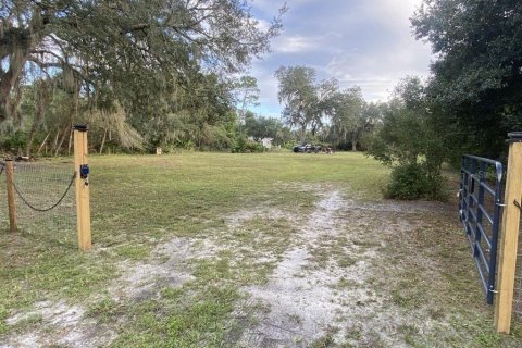 Land in DeLand, Florida № 1827207 - photo 11