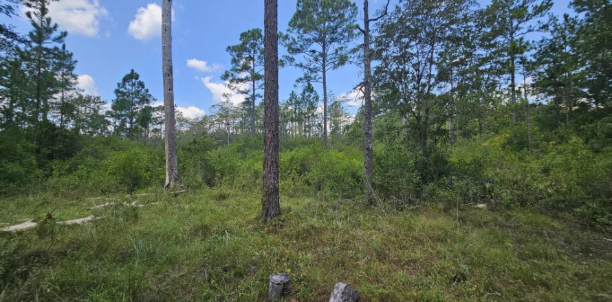 Land in Hilliard, Florida № 772652