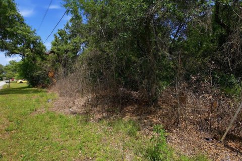 Terreno en venta en DeLand, Florida № 2103386 - foto 5